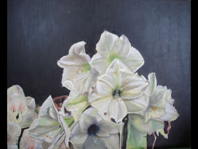 schilderij met amaryllis