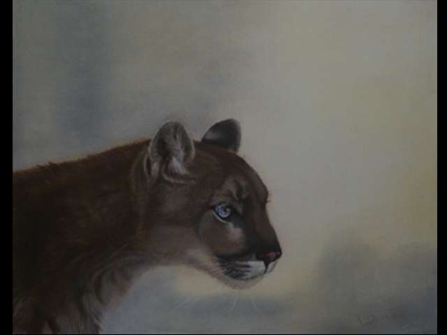 schilderij wildlife: poema