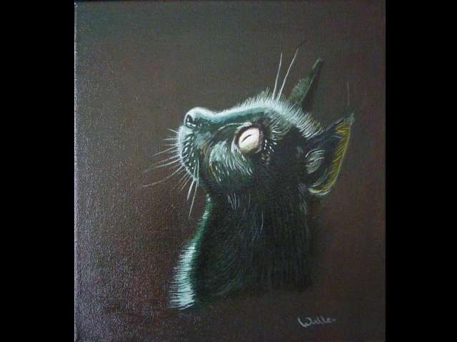 schilderij wildlife poes1