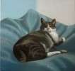 schilderij poes2